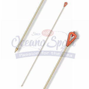 ASTA PER CANNOLICCHI